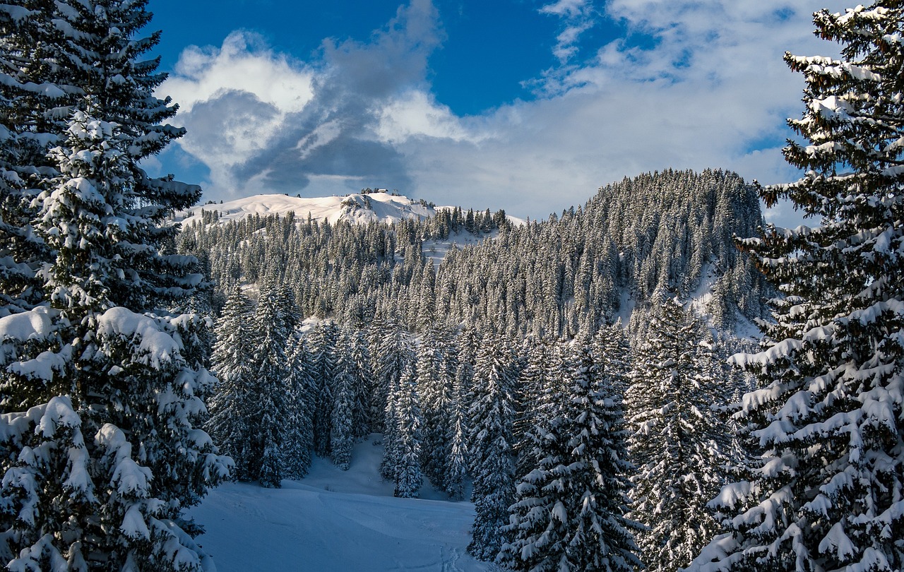 Green Travel Tips for Discovering Switzerland’s Lucerne